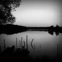 /album/mil-zapatos/photolia-b01-jpg/